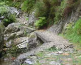 Un puente de hormigón deteriorado cruza un arroyo rocoso en la ruta del alba, rodeado de vegetación exuberante y rocas cubiertas de musgo.