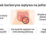Berberyna na jelita: redukuje stany zapalne, wspiera motorykę, mikrobiotę, detoksykację i łagodzi objawy IBS.