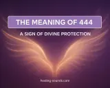 Anielskie skrzydła emanują światłem. Tekst głosi "The Meaning of 444" i "A Sign of Divine Protection". 444 znaczenie to boska ochrona.
