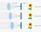 Schemat pokazuje, jak soczewki i sensor współpracują, by uzyskać ostry obraz. Autofocus dostosowuje pozycję soczewek, by obraz słonecznika był wyraźny.