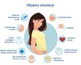 Objawy owulacji: zmienna temperatura, wyostrzone zmysły, plamienie, większa wilgotność miejsc intymnych, ból, nudności, wzdęcia, zmienne libido, zmiany szyjki macicy. Dni płodne śluz.