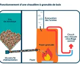 Schéma du fonctionnement d'une chaudière à granulés : silo, vis d'alimentation, foyer, évacuation fumées et circuit de chauffage. Avis sur chaudière à granulés.