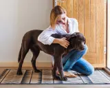 Une femme accroupie enlace tendrement son chien brun. Leur **relation fusionnelle avec son chien** est palpable dans ce moment de complicité.