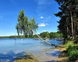 Malownicze jezioro Wdzydze, gdzie woda kusi obietnicą obfitych ryb. Na wodzie kołyszą się łodzie, a nad brzegiem pochyla się drzewo.