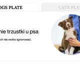 Weterynarz bada szczeniaka, który może mieć zapalenie trzustki u psa. Objawy są widoczne na ekranie.