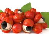 Kwitnące owoce guarany z czarnymi nasionami i zielonymi liśćmi, podkreślające jej naturalne guarana właściwości.