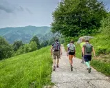 Un gruppo di amici fa trekking vicino Milano, immersi nel verde lussureggiante delle colline.