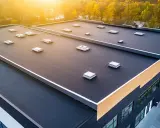 Szeroki, ciemny dach płaski z licznymi świetlikami i elementami wentylacyjnymi, otoczony jesienną zielenią.