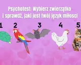 Psychotest: wybierz zwierzątko i sprawdź, jaki jest twój język miłości. Żółw, papuga, nietoperz, kura i kot czekają na Ciebie!