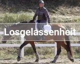 Reiterin mit linker Hand am Zügel eines braunen Pferdes, das entspannt trabt.