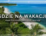 Rajska plaża z palmami i turkusową wodą. Idealne miejsce, by zastanowić się, gdzie na wakacje.