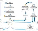 Diagramm erklärt Nikotinabhängigkeit. Nach Rauchstopp können Entzugserscheinungen wie Suchtdruck auftreten.