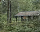 En mysig stuga i en grinda stugby, omgiven av frodig skog och ormbunkar. Ljuset från fönstret lyser varmt.