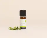 Flacon d'huile essentielle sarriette des montagnes, aux vertus purifiantes et toniques, accompagné de quelques feuilles fraîches.