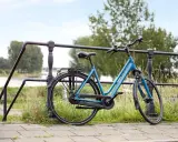 Idealny rower na długie trasy: błękitny Gazelle z bagażnikiem, gotowy na przygodę nad rzeką.