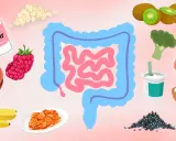 Bilder von Kefir, Haferflocken, Beeren, Bananen, Kimchi, Kiwis, Brokkoli, Lachs, Joghurt und Chia-Samen, die darmfreundliche Lebensmittel darstellen.