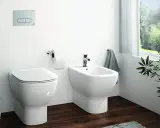 Bagno moderno con wc e bidet affiancati, un discreto muretto dietro nasconde lo scarico. Carta igienica e porta scopino completano l'arredo.