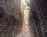 Sentiero scavato nella roccia, con alberi e luce che filtrano dall'alto. Un luogo suggestivo, dove la natura mostra cosa vedere.