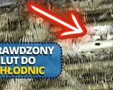 Pęknięta chłodnica? Sklej ją trwale! Poradnik, kleje, oszczędności