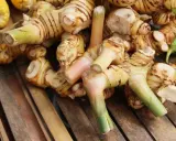 Gros plan sur des rhizomes de galanga frais, prêts à révéler leurs bienfaits. Ces racines aux teintes orangées et vertes promettent saveur et santé.