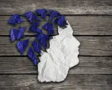 Zgnieciona papierowa głowa, której fragmenty odlatują, symbolizuje problem z pamięcią krótkotrwałą.