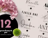 Kolekcja 12 darmowych fontów, w tym elegancki moontime font, obok różowych hortensji i zielonej chryzantemy.