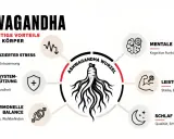 Ashwagandha-Wurzel: Vorteile für Geist & Körper, Stressreduktion, Immunsystem, Balance, mentale Gesundheit, Leistung, Schlaf. Wie lange Ashwagandha einnehmen?