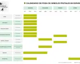 Calendario de poda de árboles frutales en España: cuándo se podan olivos, almendros, manzanos, cítricos y más.