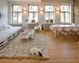 Un soggiorno luminoso con arredamento bianco e legno, un divano letto, un tavolino e un cane che riposa su un tappeto soffice.