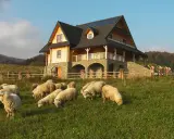 Willa Wysoki Wierch Szczawnica: Idealny nocleg z widokiem na Pieniny