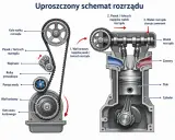 Schemat rozrządu silnika z widoczną pompą wody, która jest napędzana przez pasek. Wymiana pompy wody to kluczowy element konserwacji.
