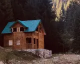 Acogedora tiny house de madera con tejado verde, rodeada de un bosque oscuro y un prado.