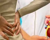 Ból pleców i model nerki. Dowiedz się, zapalenie nerek ile trwa i jak je leczyć.