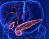 Anatomia jamy brzusznej z widoczną trzustką, wątrobą i pęcherzykiem żółciowym. Widać naczynia krwionośne. Może to być wizualizacja torbieli na trzustce.