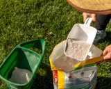 Scooping insecticide from a bag into a spreader. Check product label for how often to apply insecticide to lawn.