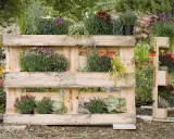 Jardinière en palette accueillant des fleurs roses et violettes, des graminées et des succulentes. Un jardin vertical original et écologique.