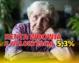 Starsza kobieta z zamyśloną miną. Napis: "RENTA WDOWIA Z WALORYZACJĄ 5,3%". Ile netto?
