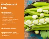 Bób, bogaty w błonnik i kwas foliowy, to zdrowy dodatek do diety. Zastanawiasz się, ile kalorii ma bób? Jest niskokaloryczny, a jego właściwości wspierają serce i regulują poziom cukru.