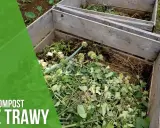 Kompost z trawy w drewnianej kompostowniku. Zielone liście i łodygi tworzą bogatą masę, która zamieni się w cenny nawóz.