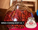 Jak zrobić wino z dzikiej róży? Kompletny przepis krok po kroku