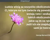 Kto rano wstaje cytaty: Czy to prawda? Inspiracja i humor