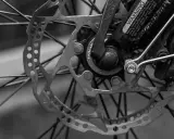 Zbliżenie na tarczę hamulcową i piastę roweru. Widoczne są szprychy, zacisk hamulcowy i dźwignia Shimano. To kluczowe elementy wpływające na przełożenia w rowerze.