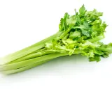 A fresh, vibrant celery plant with crisp green stalks and leafy tops, ready for a healthy snack or recipe.