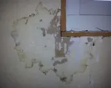 Stor fuktskada på tapeten nära ett fönster. Fläckar och bubblor syns tydligt.