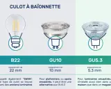 Comparaison des 4 types d'ampoules : E14, E27, B22, GU10, GU5.3, G4, G9. Découvrez leurs culots et usages.