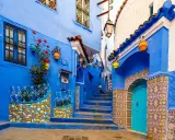 Maroko gdzie na wakacje? Urokliwa, niebieska uliczka w Chefchaouen z kolorowymi doniczkami i mozaikami zaprasza do odkrywania.