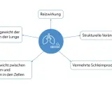 Diagramm zeigt, wie Rauchen bei COPD zu Reizungen, Ungleichgewichten und strukturellen Lungenveränderungen führt.