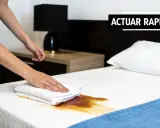 Manos limpian derrame en colchón. Aprende como quitar el olor a vinagre del colchon rápidamente.