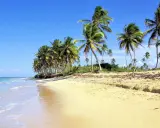 Playa paradisíaca en República Dominicana con niños jugando entre palmeras.