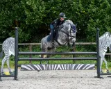 Ein Reiterpaar überwindet mit einem grauen Pferd eine Hindernis-Kombination mit Zebra-Motiven.